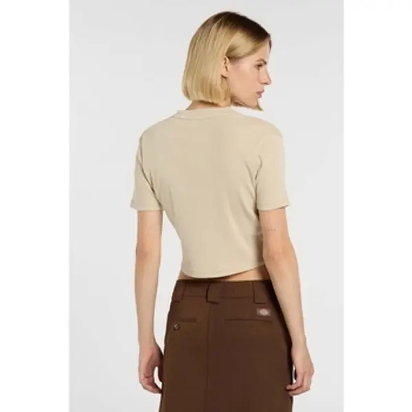 Dickies Dickies  Majice / Polo majice Dk0a866fl441  Dickies