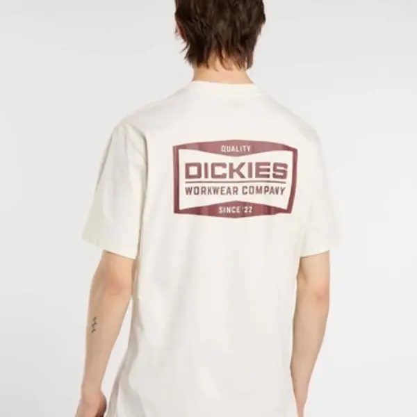 Dickies Dickies  Majice / Polo majice Dk0a87qkc481  Dickies