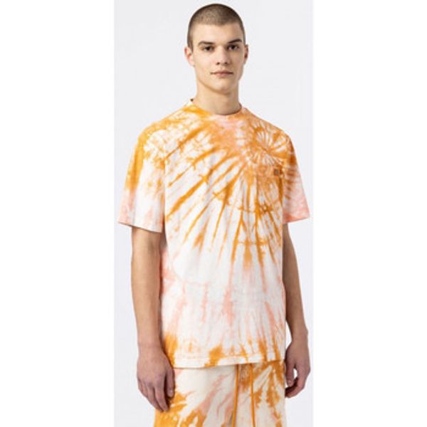 Dickies Dickies  Majice / Polo majice Seatac tee ss  Dickies