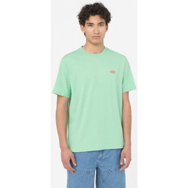Dickies Dickies  Majice / Polo majice Ss mapleton t-shirt  Dickies