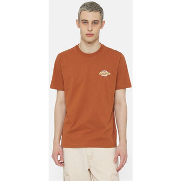 Dickies Dickies  Majice / Polo majice Ss ruston tee  Dickies