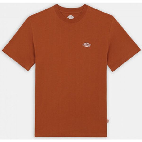 Dickies Dickies  Majice / Polo majice Summerdale ss tee bombay  Dickies