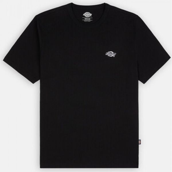 Dickies Dickies  Majice / Polo majice Summerdale tee ss  Dickies
