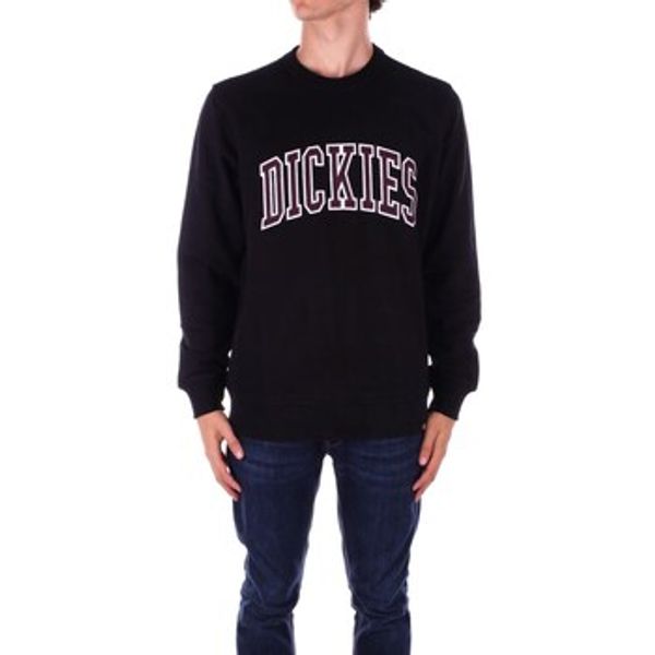 Dickies Dickies  Puloveri DK0A4XAB  Dickies
