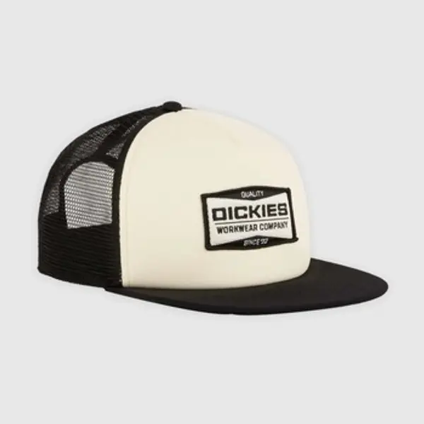 Dickies Dickies  Šilterice Gorras Hombre Modèle Dk0a87ncblk1  Dickies