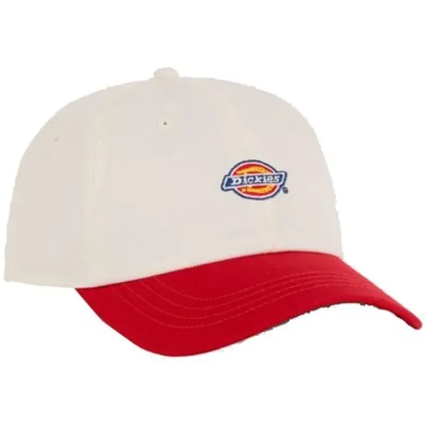 Dickies Dickies  Šilterice Gorras Hombre Modèle Hardwick 2 Tone Egret  Dickies