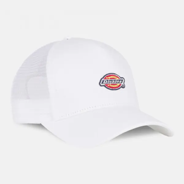 Dickies Dickies  Šilterice Hanston trucker  Dickies