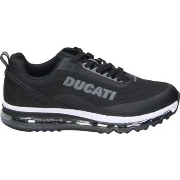 Ducati Ducati  Niske tenisice DU25M106  Ducati