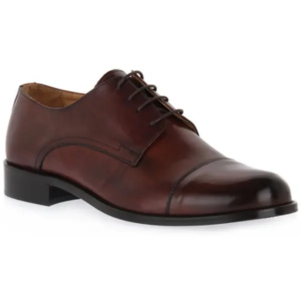 Exton Exton  Derby cipele VITELLO LEGNO  Exton