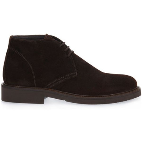 Exton Exton  Multisport CAMOSCIO TERRA  Exton