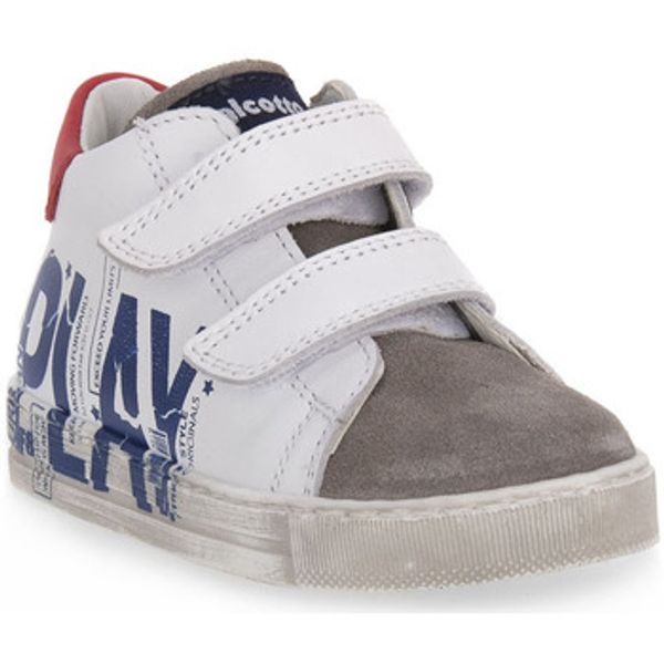 Falcotto Falcotto  Modne tenisice 1N31 TAHOLE VL  Falcotto