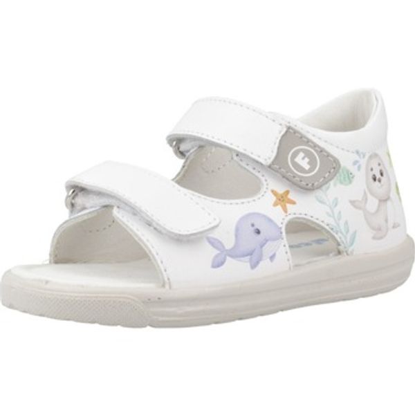 Falcotto Falcotto  Sandale i polusandale NASSHO  Falcotto