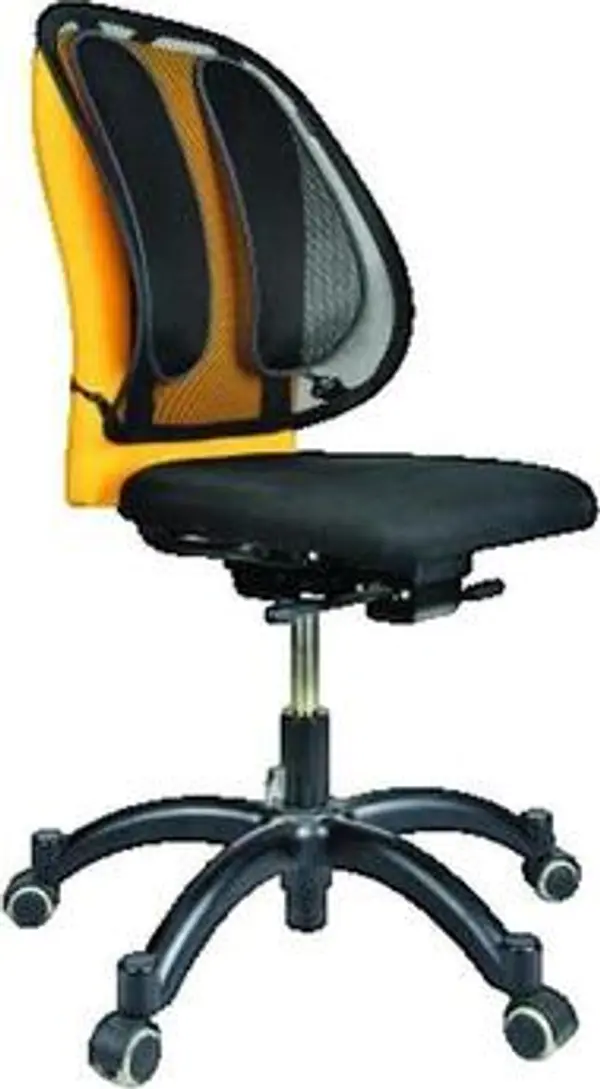 Fellowes Fellowes  Radni stolovi Support Dorsal  Ergonomique en Maille Respirante  Fellowes