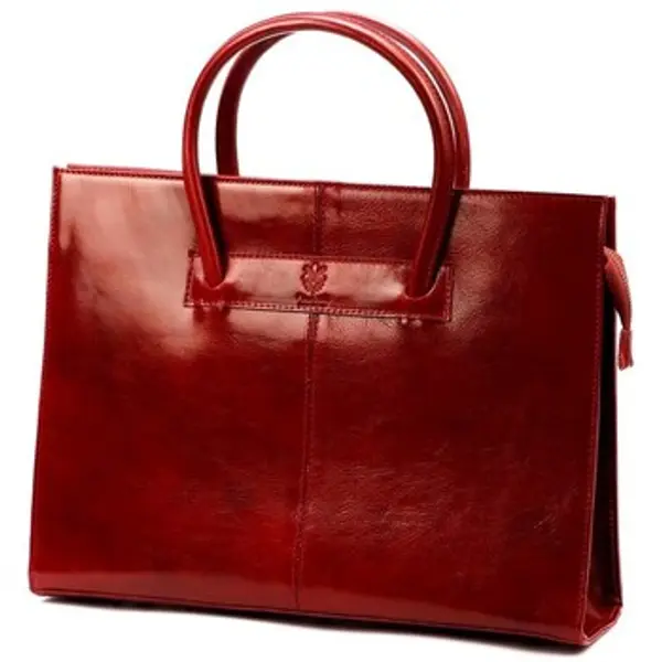 Florance Florance  Poslovne torbe i aktovke greg60372  Florance