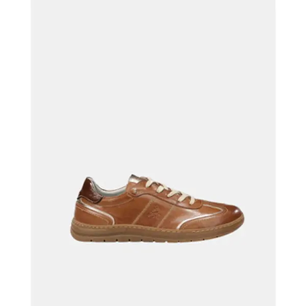 Fluchos Fluchos  Niske tenisice JUNGLE F2430  Fluchos