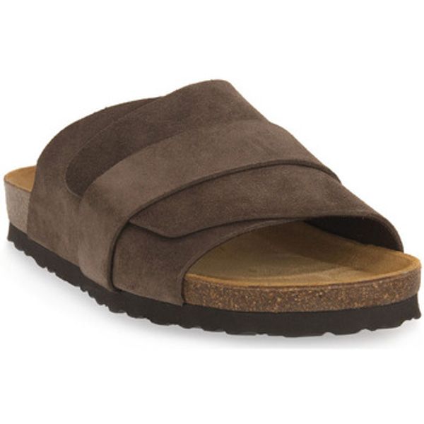 Frau Frau  Natikače SUEDE MORO  Frau