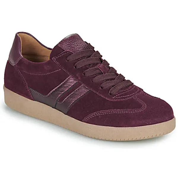 Gabor Gabor  Niske tenisice 73300  Gabor