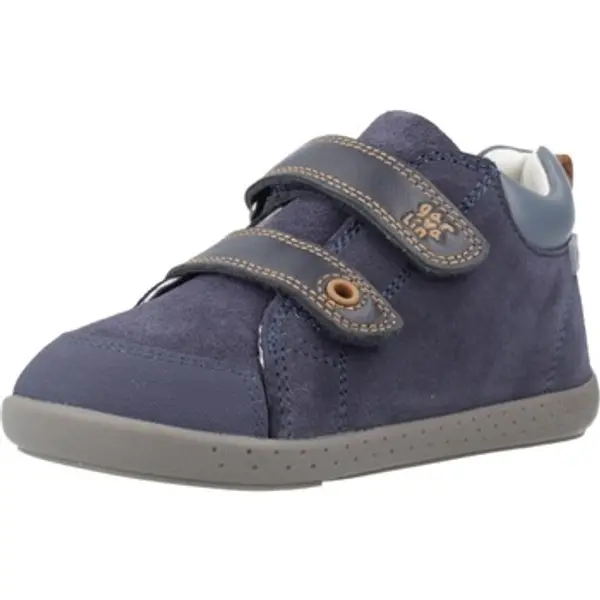 Garvalin Garvalin  Modne tenisice Zapatillas Niño Modèle 251308g  Garvalin