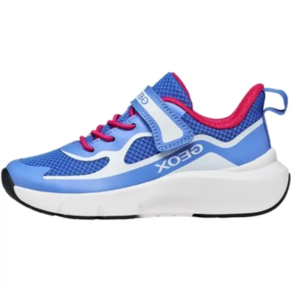 Geox Geox  Niske tenisice 278636  Geox