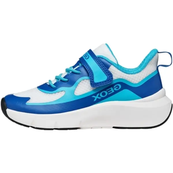 Geox Geox  Niske tenisice 278891  Geox
