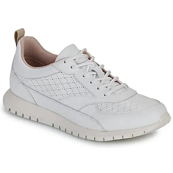 Geox Geox  Niske tenisice D SUKIE 2.0  Geox