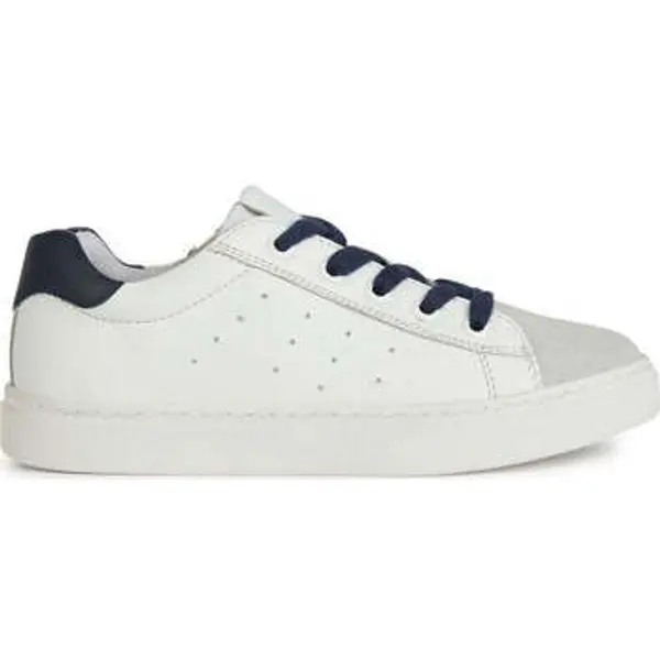 Geox Geox  Niske tenisice -  Geox