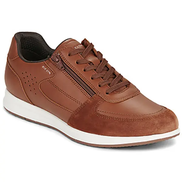 Geox Geox  Niske tenisice U AVERY  Geox