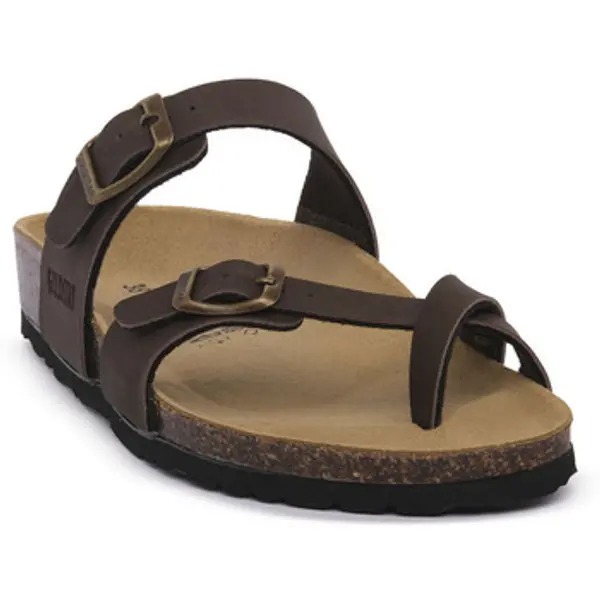 Gold Star Gold Star  Japanke STARTEK MORO  Gold Star