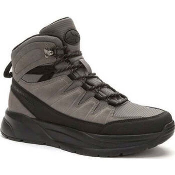 Grunberg Grunberg  Polučizme -  Grunberg