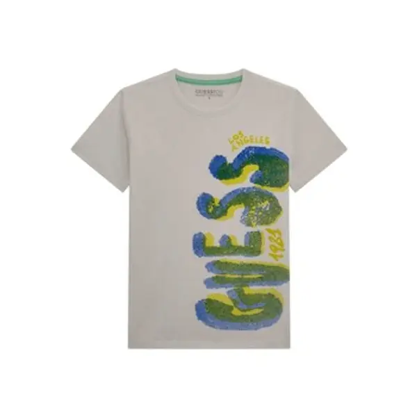 Guess Guess  Majice kratkih rukava T SHIRT  Guess