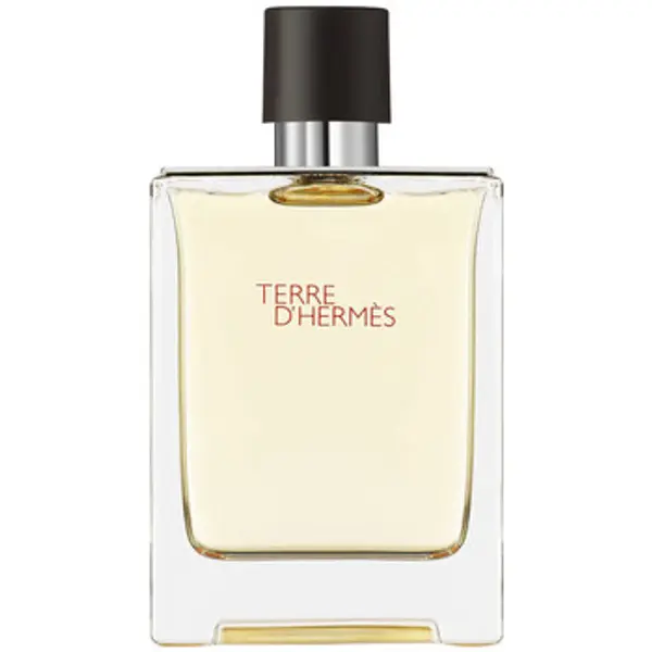 Hermès Paris Hermès Paris  Toaletna voda Terre d' Eau de Toilette 100 ml  Hermès Paris