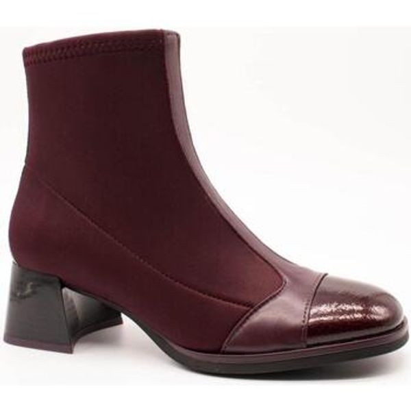 Hispanitas Hispanitas  Gležnjače -  Hispanitas