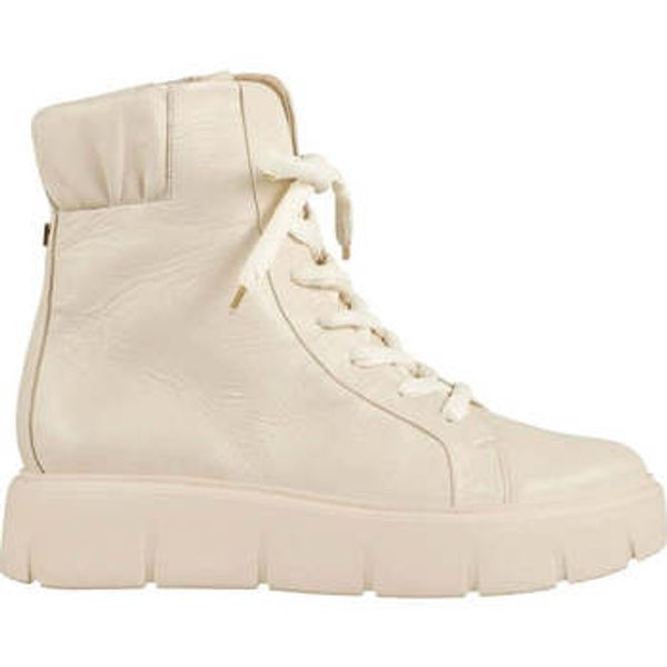 Högl Högl  Gležnjače -  Högl