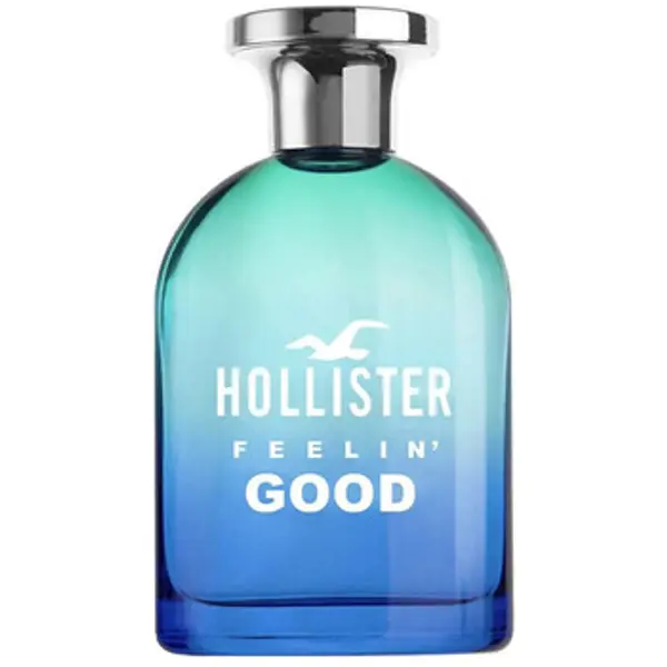 Hollister Hollister  Toaletna voda Eau de Toilette for Him Feelin' Free 100 ml  Hollister