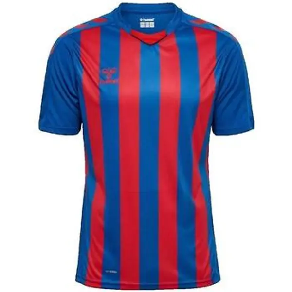 hummel hummel  Majice kratkih rukava T-shirt  Core XK bleu  hummel