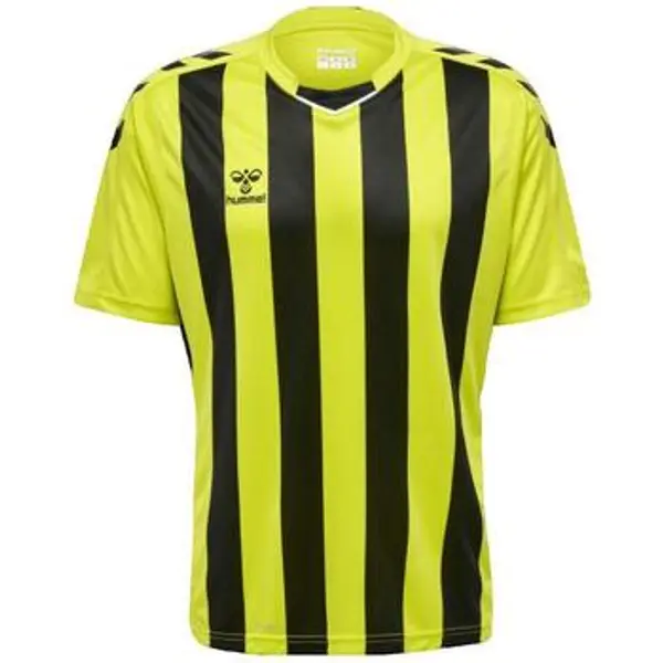 hummel hummel  Majice kratkih rukava T-shirt  Core XK rayé  hummel