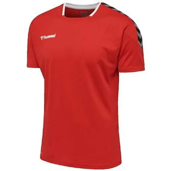 hummel hummel  Majice kratkih rukava T-shirt  hmlAuthentic Poly  hummel