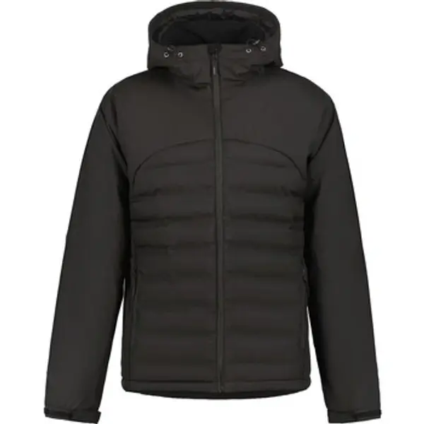 Icepeak Icepeak  Jakne Barwick  Icepeak
