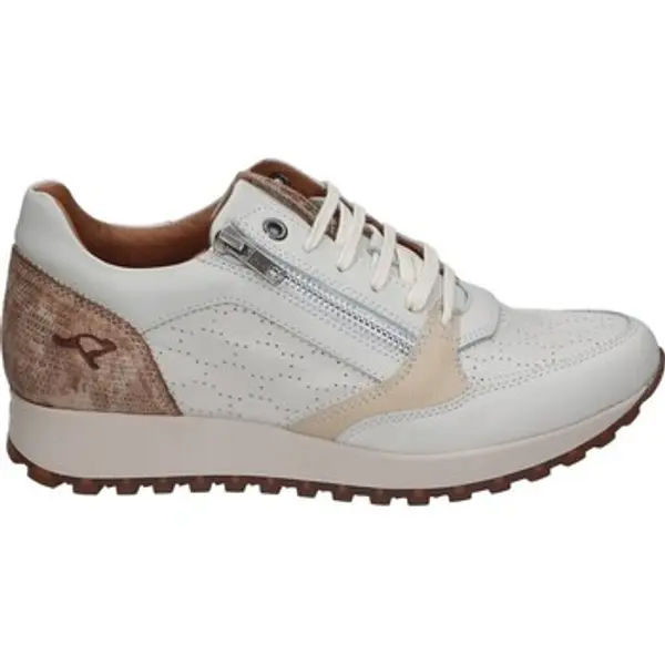Kangaroos Kangaroos  Niske tenisice 112293  Kangaroos