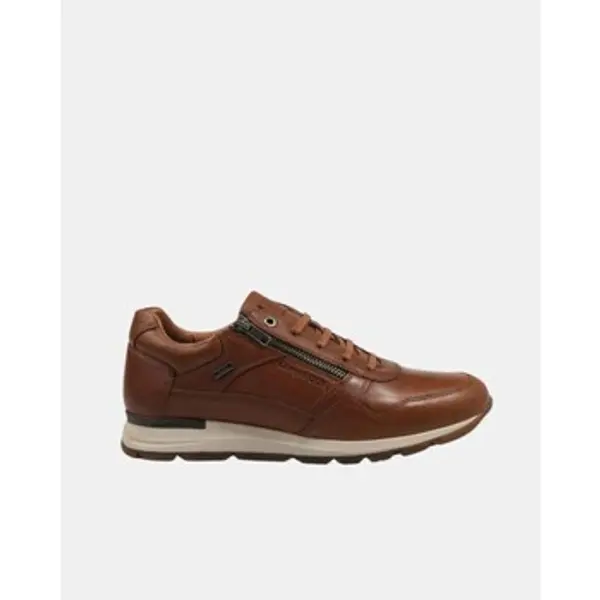 Kangaroos Kangaroos  Niske tenisice 844 13  Kangaroos