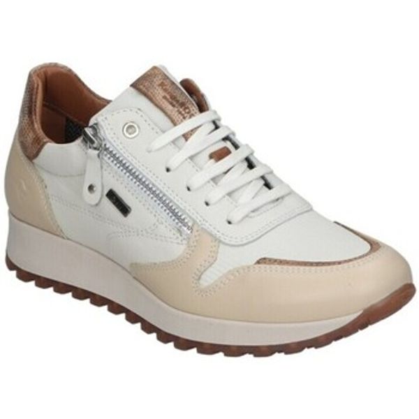 Kangaroos Kangaroos  Niske tenisice SNEAKERS  680  Kangaroos