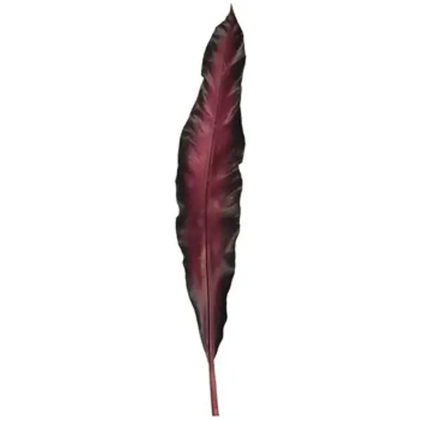 Leonardo Leonardo  Dekorativni predmeti Fiore  Leonardo