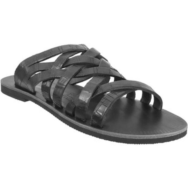 Les Spartiates Phoceennes Les Spartiates Phoceennes  Natikače Sevan  Les Spartiates Phoceennes