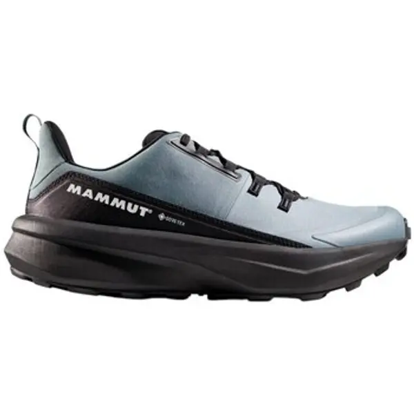 Mammut Mammut  Pješaćenje i planinarenje Aenergy Hike Low Gtx  Mammut