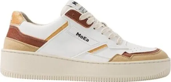 MOEA MOEA  Niske tenisice MOEABASGN178  MOEA