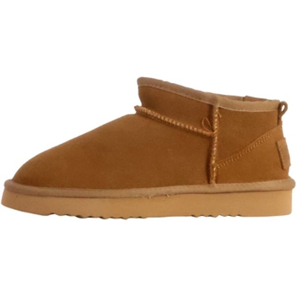 Natural World Natural World  Polučizme 240069  Natural World