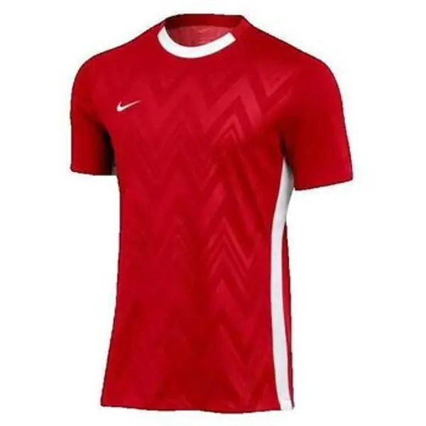 Nike Nike  Kupaći kostimi / Kupaće gaće Challenge V  Nike