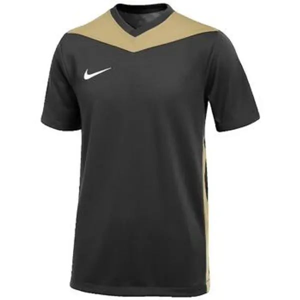 Nike Nike  Kupaći kostimi / Kupaće gaće Dri-Fit Park Derby Iv  Nike