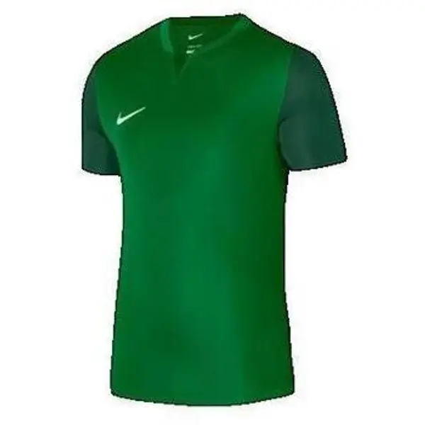 Nike Nike  Kupaći kostimi / Kupaće gaće Dri-Fit Trophy V  Nike