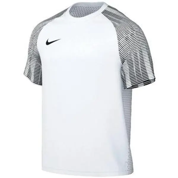 Nike Nike  Kupaći kostimi / Kupaće gaće Drifit Academy  Nike
